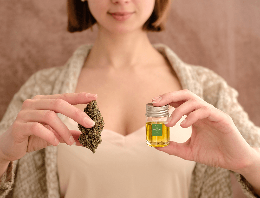 medchefayurved.com